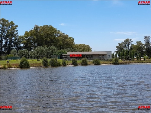 Imagen 3 de 13 de Ranchos. Departamento De 4 Ambientes Y 2 Dormitorios (1970)