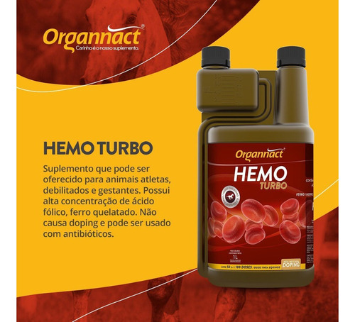 Glicol Turbo 1,5 Litro + Hemo Turbo 1 Litro - Organnact