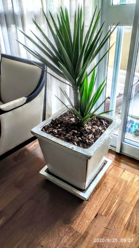 Imagem 1 de 5 de Serviços Completo De Jardinagem Com Ótimos Preços