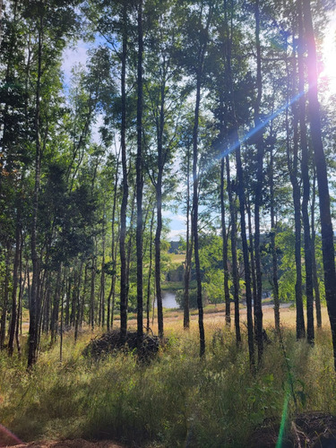 Preciosa Parcela Con Bosque De Robles Y Vista A Lagunas