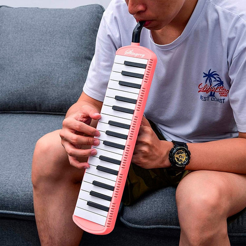 Melodica Pianica Con 37 Teclas Incluye Estuche. Negra