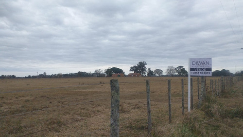 Imagen 3 de 4 de Campo En Venta - Gral Juan Madariaga