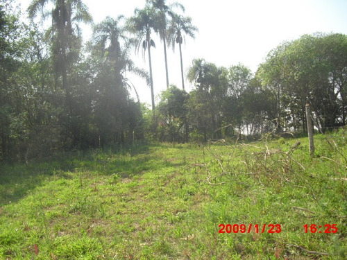 Imagem 3 de 13 de Terreno Próximo A Cidade