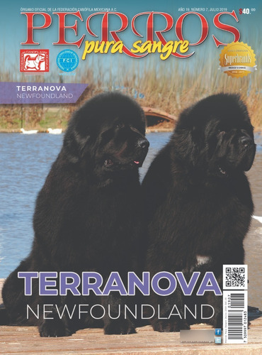 Revista Perros Pura Sangre. Terranova. Julio 2019