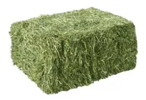 Comprar Heno De Alfalfa En Fardos. Conejos X18 \u002F\u002F22kg Aprox
