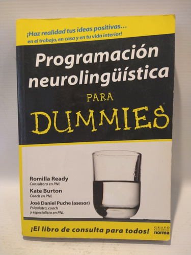 Programacion Neurolinguistica Para Dummies Ready Norma