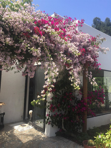 Casa En Venta En Puchuncaví