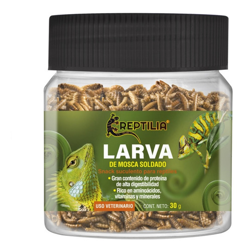 Larva De Mosca Soldado Para Reptiles 30 Gr Reptilia