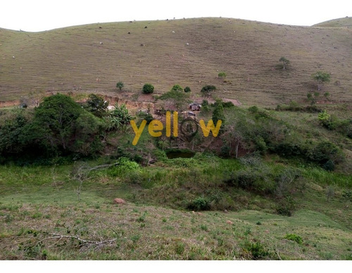 Imagem 8 de 11 de Rural - Cruz Branca - Ru-4005
