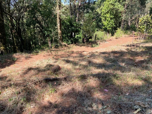 Imagen 2 de 6 de Terreno Plano En Fraccionamiento Monte Rubí Huitzilac, Morel