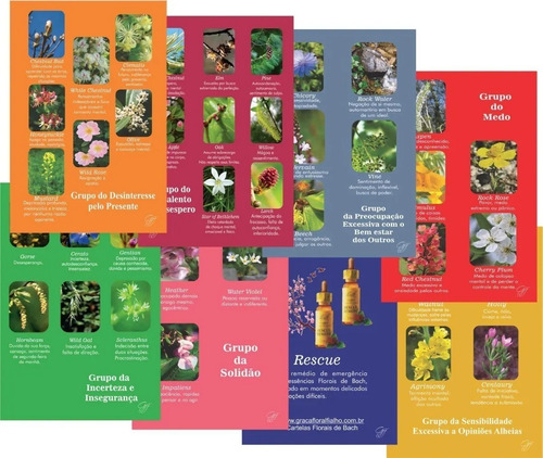 Cartas Florais De Bach Com 8 Postais Dos 7 Grupos De Emoções