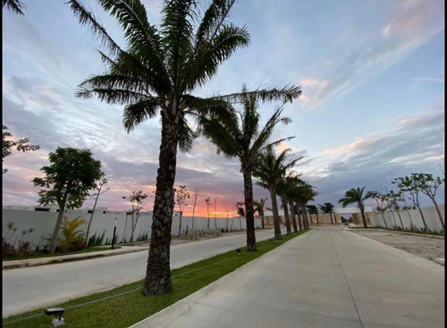 Terreno En Venta Merida, Cholul En Privada,imediata