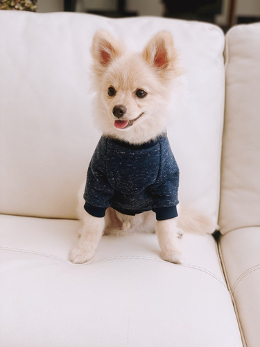 Imagen 2 de 6 de Suéter Para Perritos Razas Pequeñas Blue