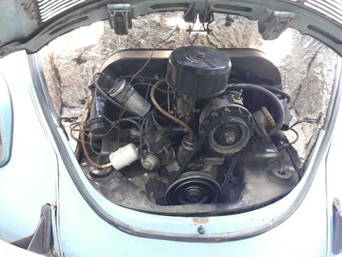 Fusca Fusca