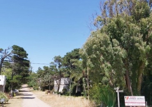 Imagen 3 de 7 de Oportunidad Retasado- Lote Multifamiliar En Mar De Ostende- Pinamar-