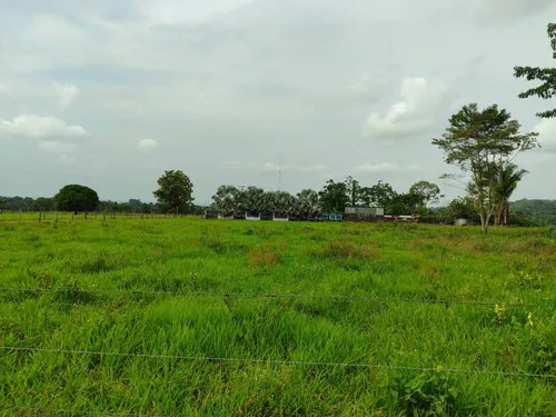 Em Finca En Venta En La Fría