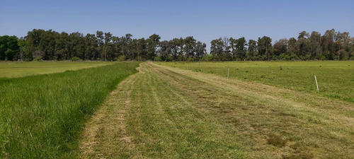 Campo En Venta En General Rodríguez