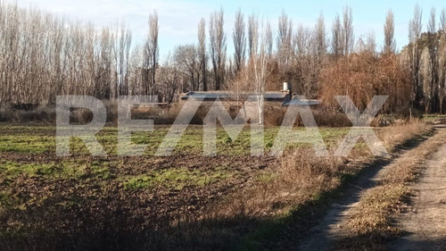 Venta De Chacra 6 Hectareas - Vista Alegre