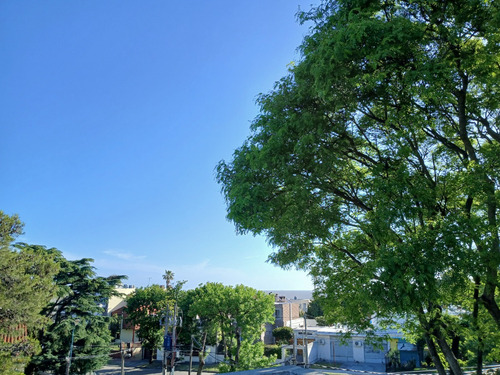 Casa Esquina, Amplia Y Luminosa, En La Mejor Calle De Punta Gorda, Padrón Ùnico Con Dos Entradas Independientes, Una Por La Calle Palmas Y Ombúes Y La Otra Entrada Por Grito De Gloria