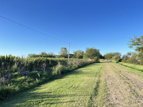 Venta Campo En Lobos 15,5has