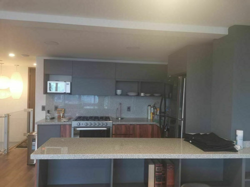 Magnifico Departamento Amueblado En Renta Arquimides Polanco