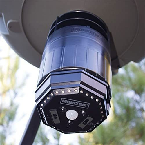 Moultrie Luz Verde Alimentador Caça Javali.