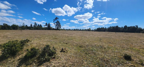 Venta Terreno-sitio  Sector Rulo En Calbuco