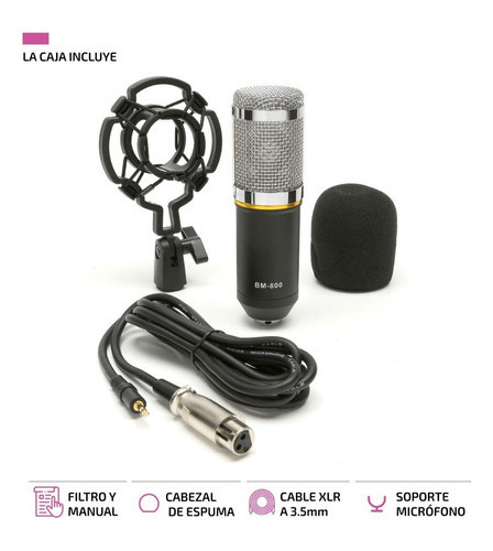 Microfono Profesional Youtube Set Estudio Video Juegos Bm800 Plateado