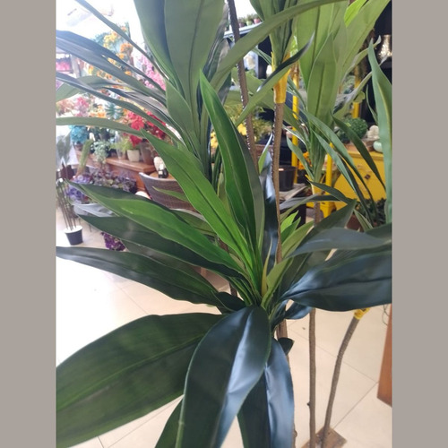 Arvore Dracena Cordyline Grande Verde Artificial Mambo