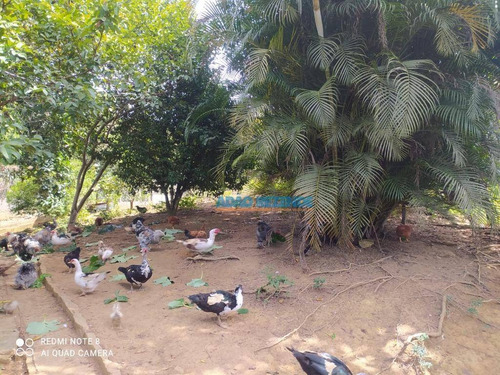 Imagem 26 de 30 de Casa Com 2 Dormitórios À Venda, 167 M² - Tijuca - Teresópolis/rj - Ca1287