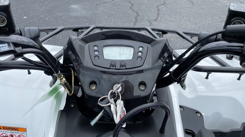 Imagen 14 de 15 de Kawasaki Brute Force 300 4x2