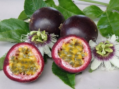 30 Sementes Fruta Maracuja Roxo Passiflora Edulis P/ Mudas