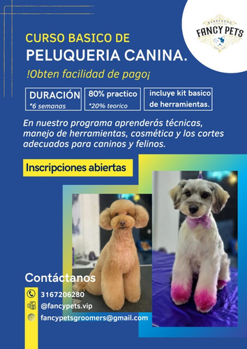 Curso De Peluquería Canina Comercial