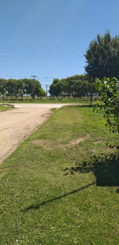 Imagen 8 de 17 de Galpon En 2 Lotes Mar De Ajo Propuesta Comercial