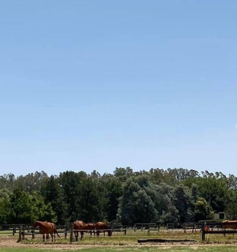 Finca En Pilar, Zona De Polo 