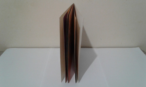 Livro A Bruxa Beleza-pura
