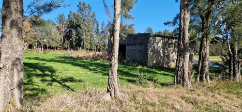 Venta Chacra 28 Ha Abayuba Arroyo Y 2 Tajamares C.rigel