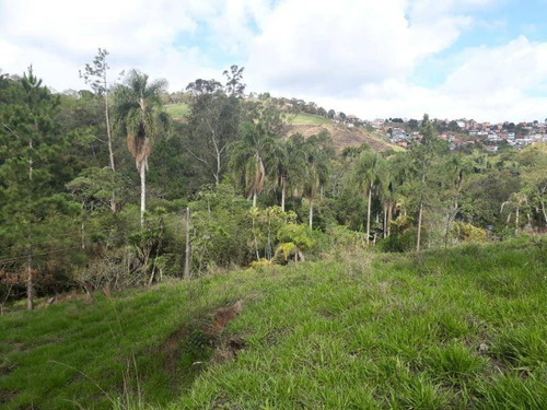 Imagem 5 de 9 de Área À Venda, 150000 M² Por R$ 5.000.000,00 - Vila Arujá - Arujá/sp - Ar0023