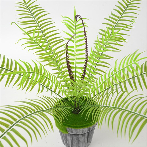 Plantas Artificiales Decoración Floral Hoja Helecho Cycas