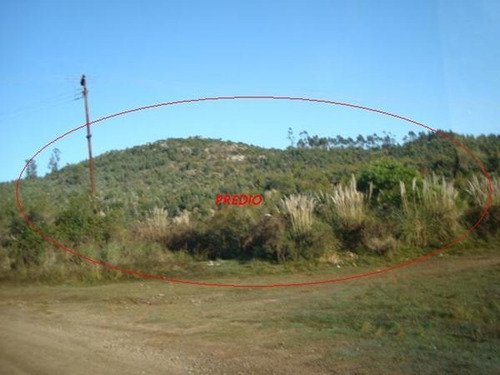Campo En Venta En Lavalleja, 4 Hectáreas.