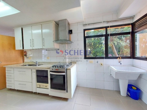 Imagem 9 de 15 de Apartamento 3 Dormitórios À Venda, Na Vila Mascote - Mc5302