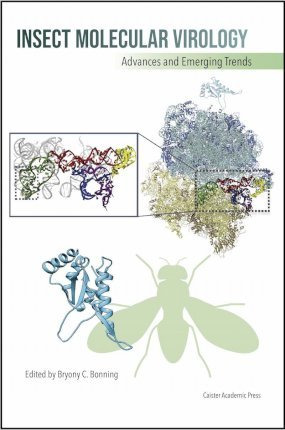 Libro Insect Molecular Virology : Advances And Emerging T...