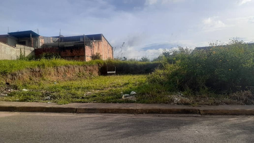 Imagen 2 de 6 de Terreno En Venta Barrio El Lobo