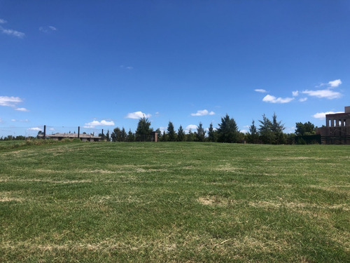 Imagen 7 de 10 de El Mejor Lote Al Río! Prox A Salida Río Luján - 1100m2