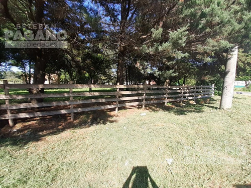 Imagen 15 de 18 de Terreno - La Plata