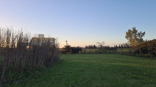 Imagen 3 de 8 de Terreno En Venta En Puerto Chascomus