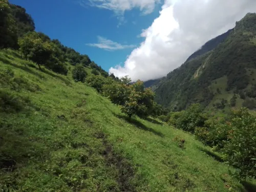 Finca Via Juntas - Ibagué