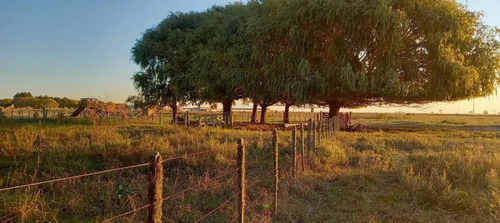 Imagen 6 de 13 de Chacra En Venta - 6ha - La Lucila Del Mar