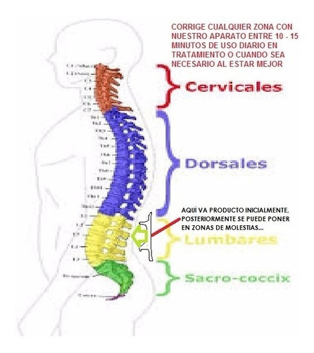 Dolor:columnavertebral,nervio Ciático,lumbar,estrés= Hachiko