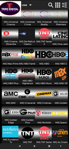 Imagen 2 de 5 de Iptv Toro Digital
